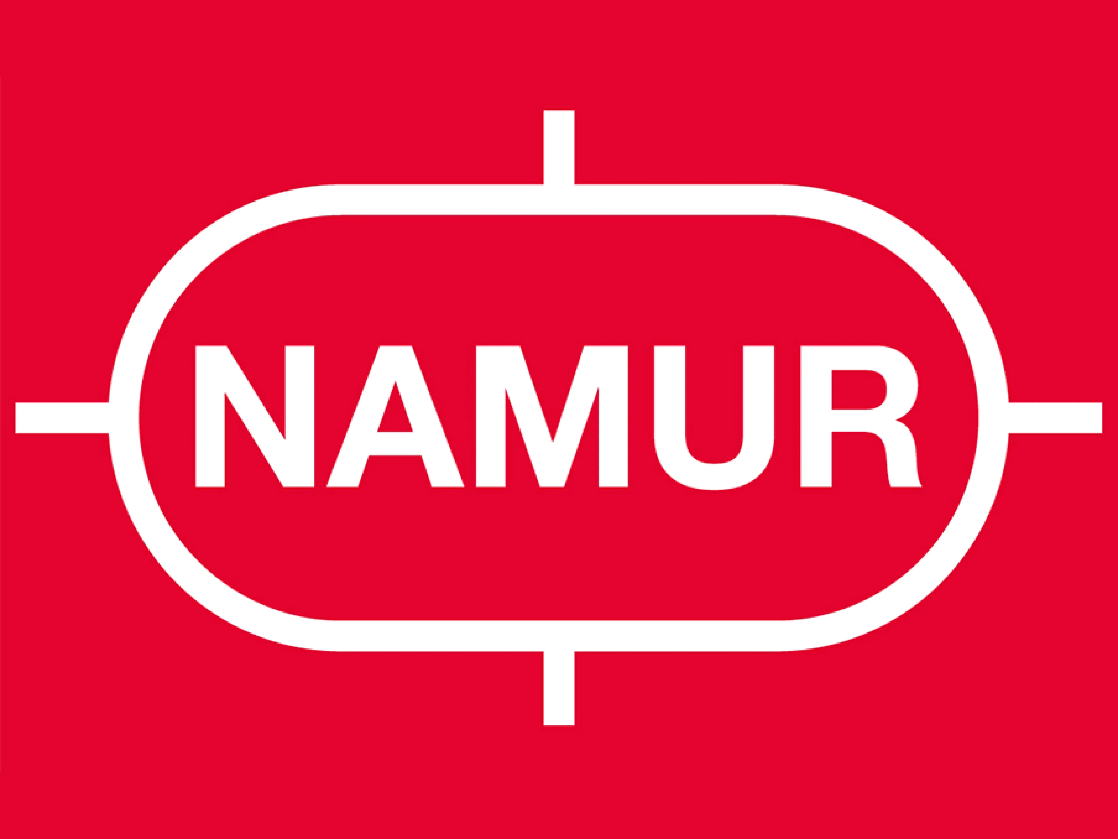 Namur Logo