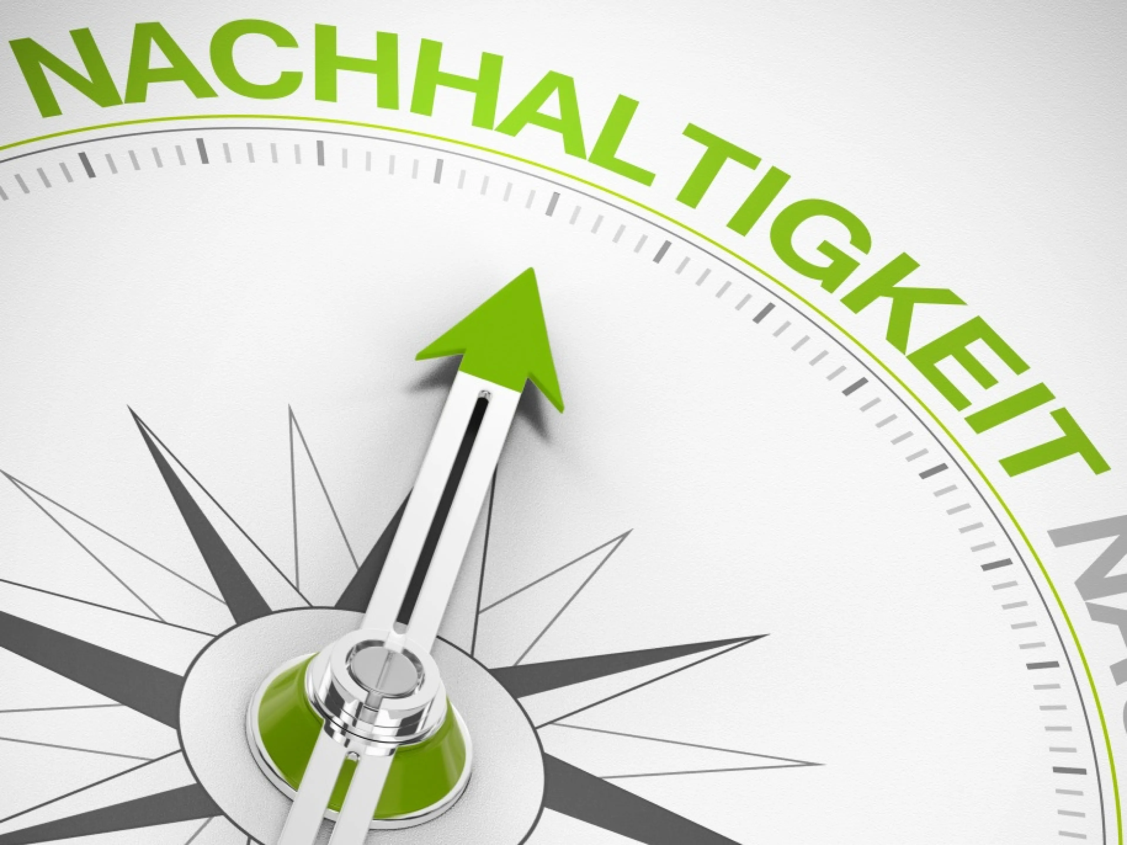 Röhm hat Fortschritte in allen ESG-Bereichen erzielt, Bild: Adobe Stock / Coloures-Pic Röhm hat Fortschritte in allen ESG-Bereichen erzielt