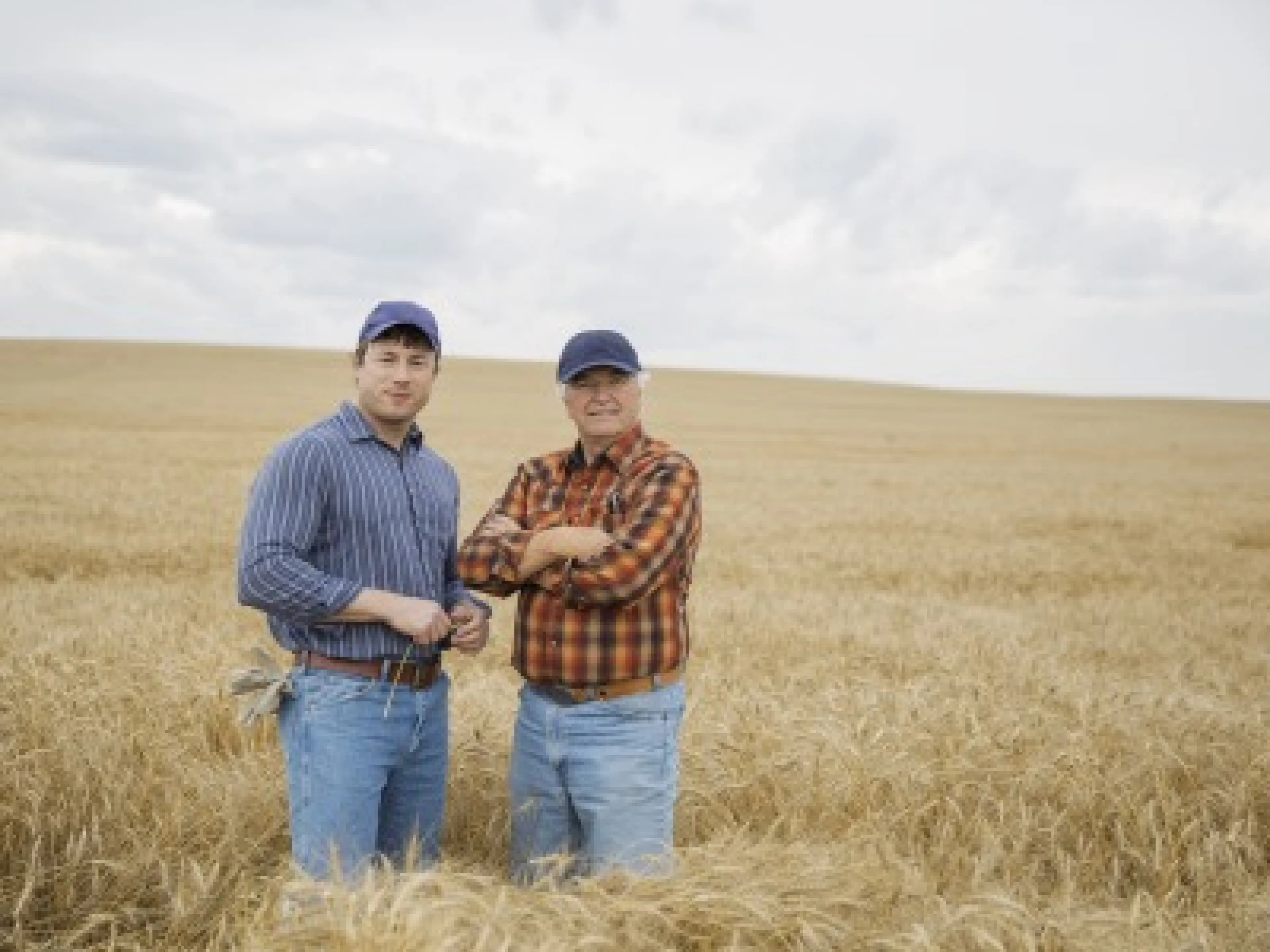 Landwirte auf Feld