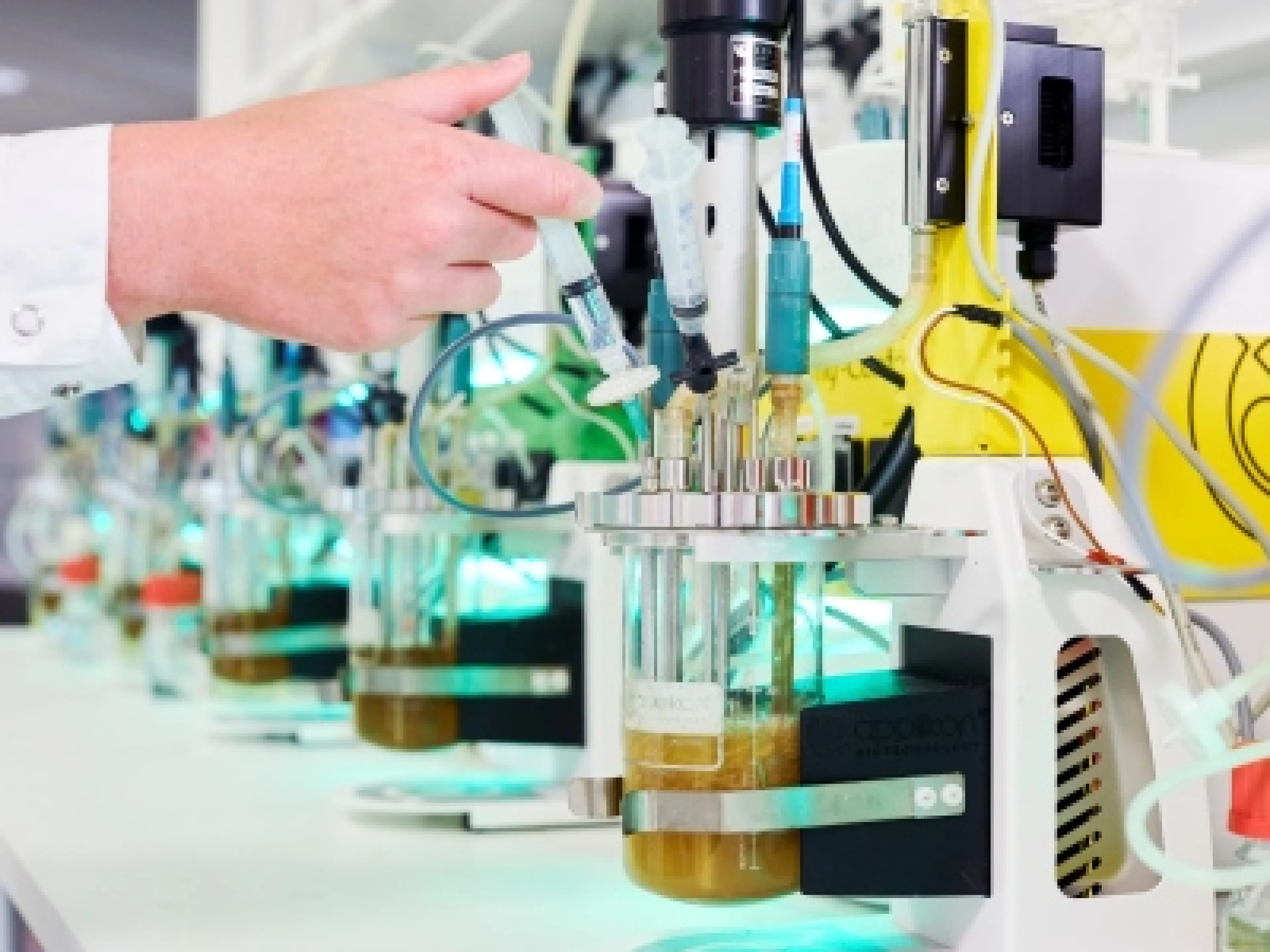 Herstellung von fermentativem Biotin im Labor