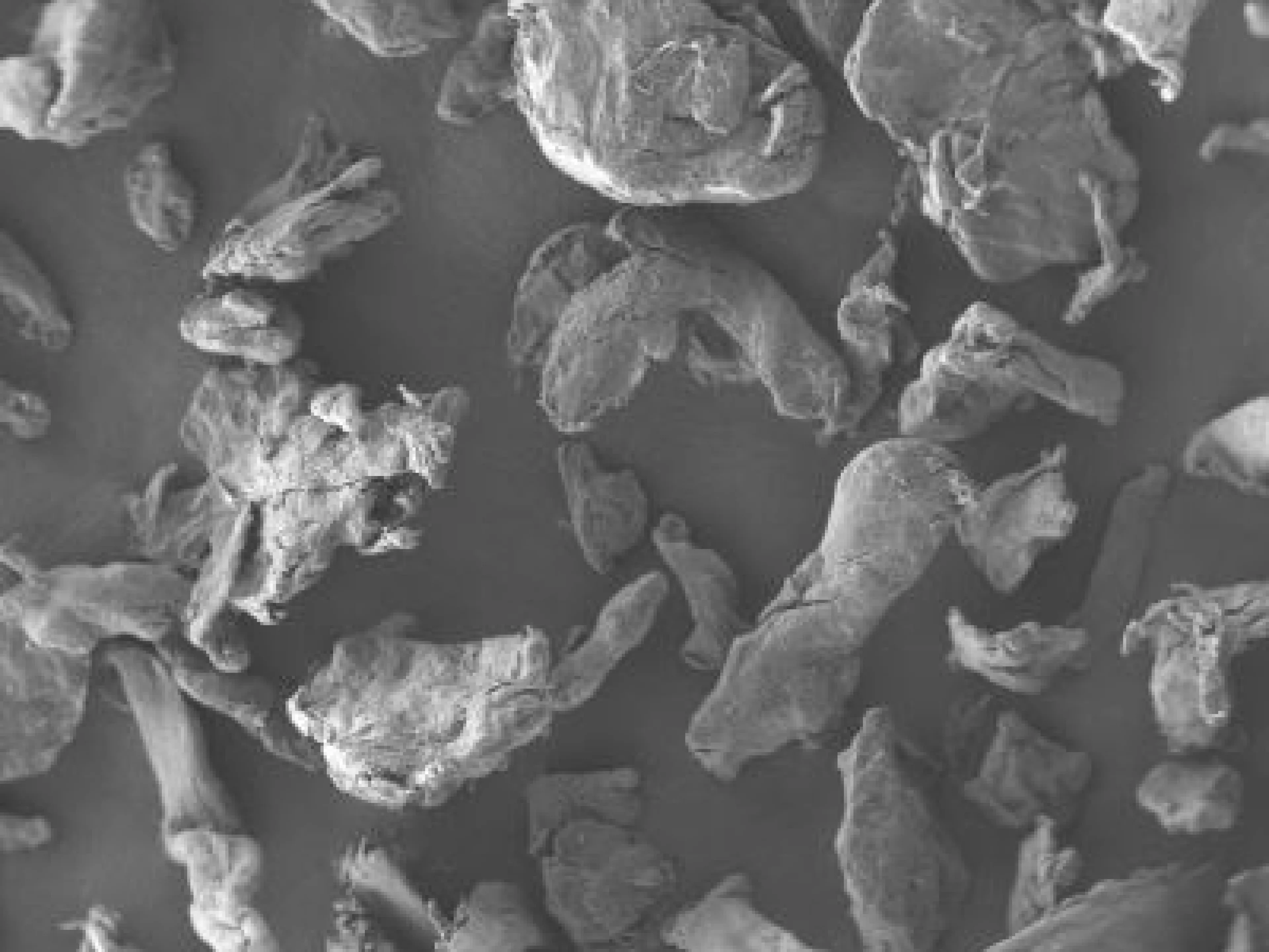 Rasterelektronenmikroskopische Aufnahme von Cellulosepartikeln