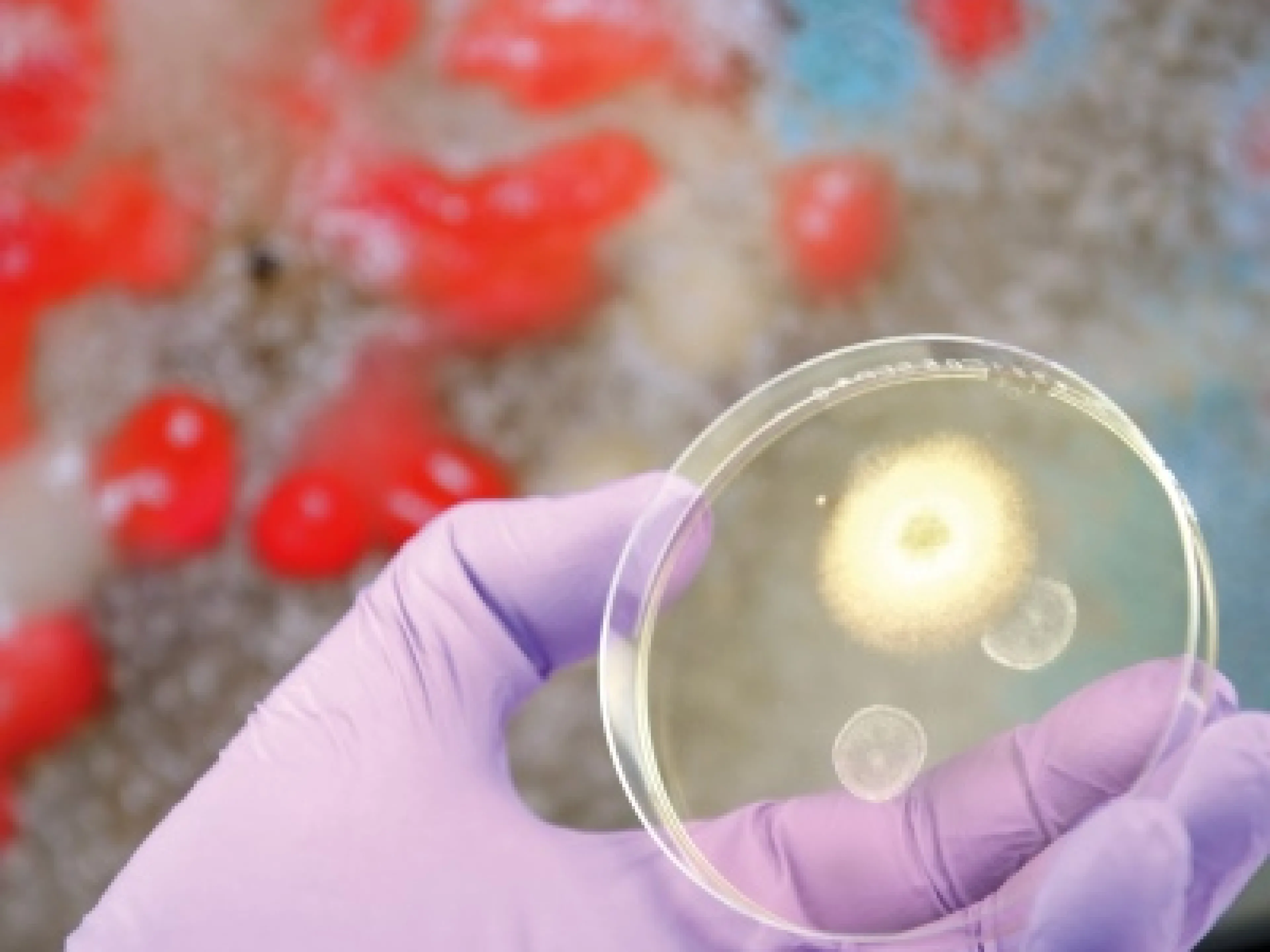 Reinigungsmaßnahmen mit Systemreinigern von Vink Chemicals