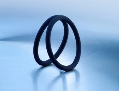 Si 771 FL kann in Temperaturumgebungen von -60 bis zu +200 Grad Celsius zum Einsatz kommen